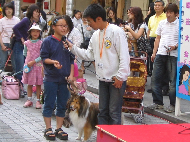 関西 犬 イベント